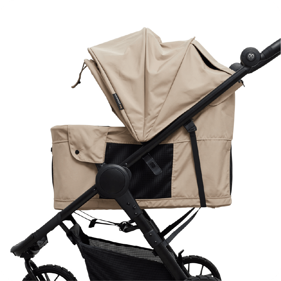 ビッグシェード03